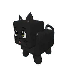 Black Cat